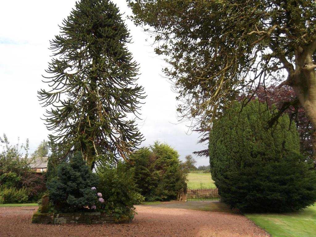 Kirkpatrick House Bed and Breakfast Gretna Green Exteriör bild